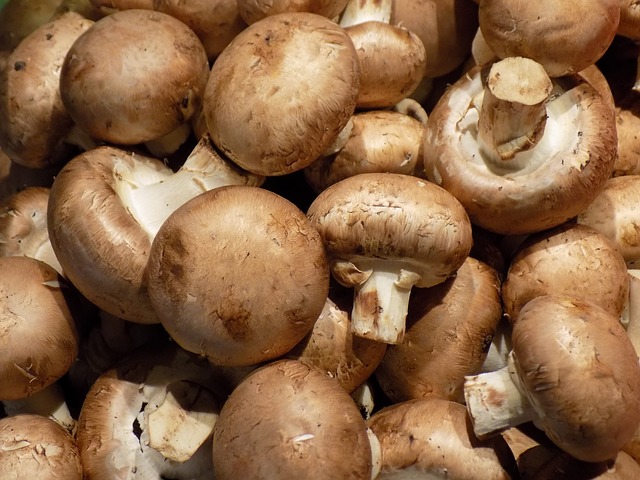 Mushrooms